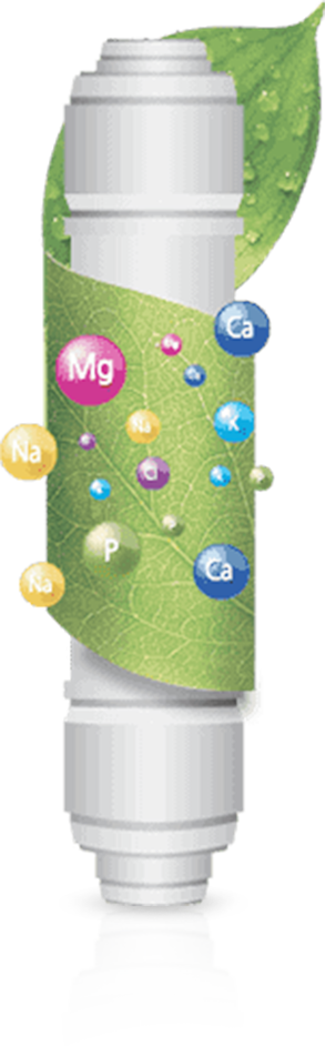 NAtural Filter Cuckoo